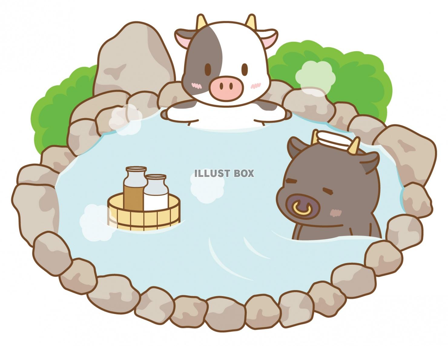 温泉でミルクを飲む入る牛さん1(丑、うし、正月、干支、年賀状...