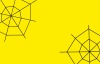 クモの巣(黄色の背景)
