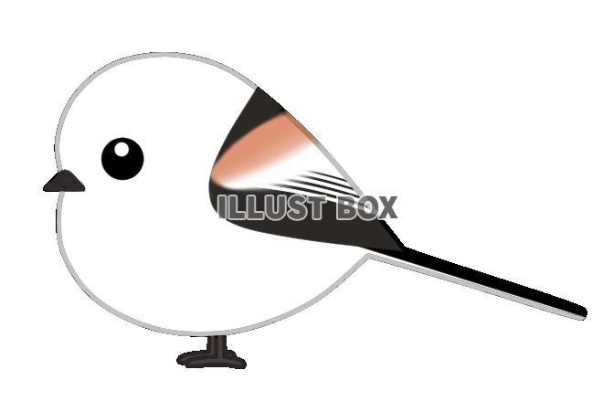 シマエナガ（日本の野鳥）　透過ＰＮＧ