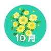 １０月のカレンダーロゴ（小菊）