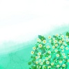 白い花のイラスト