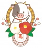 正月飾りになった牛さん(丑、うし、正月、干支、年賀状、しめ縄、ツバキ、椿、ビーフ