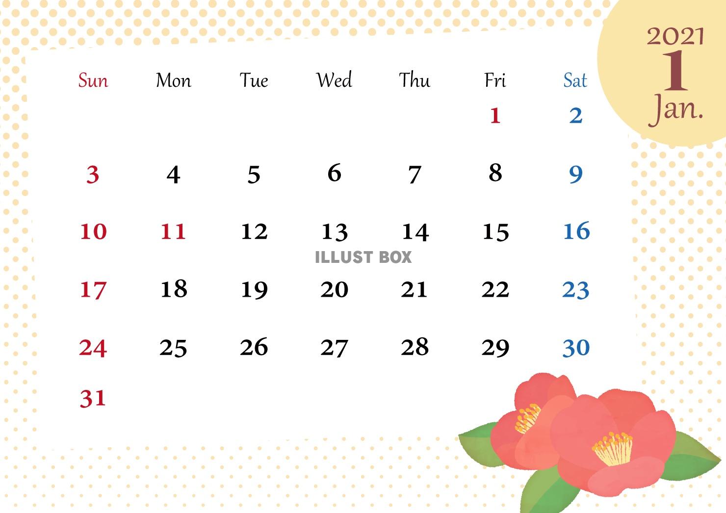 2021年花のカレンダー　1月