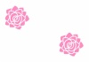 ピンクのバラ(白の背景)