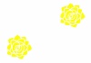 黄色いバラ(白の背景)