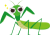 つり目のカマキリイラスト