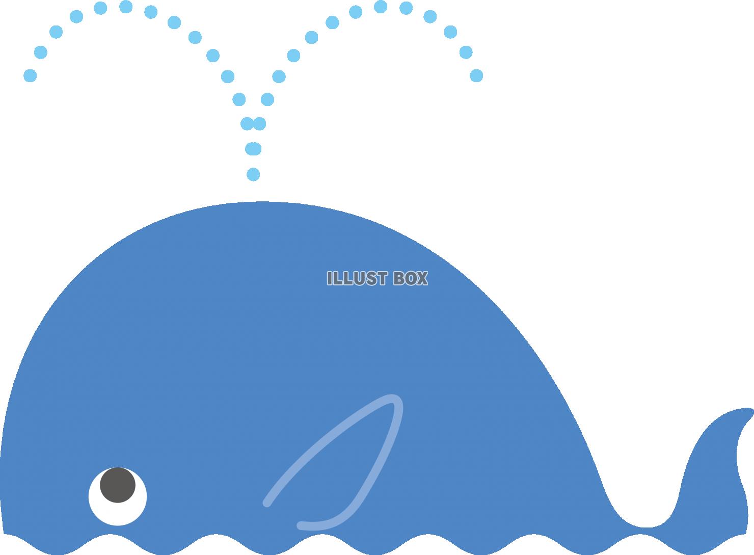 シンプルな海面に浮かぶクジラ