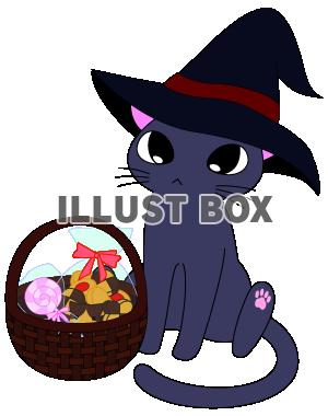 【ねこ】ハロウィンにはお菓子を