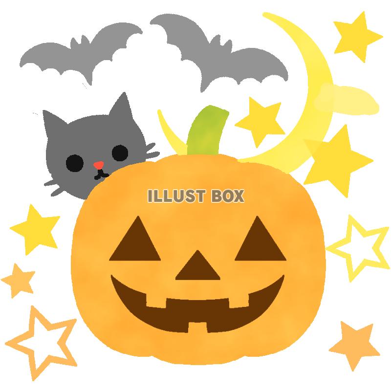 ハロウィンカボチャと黒猫　透過png