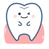 歯と歯茎のイラスト