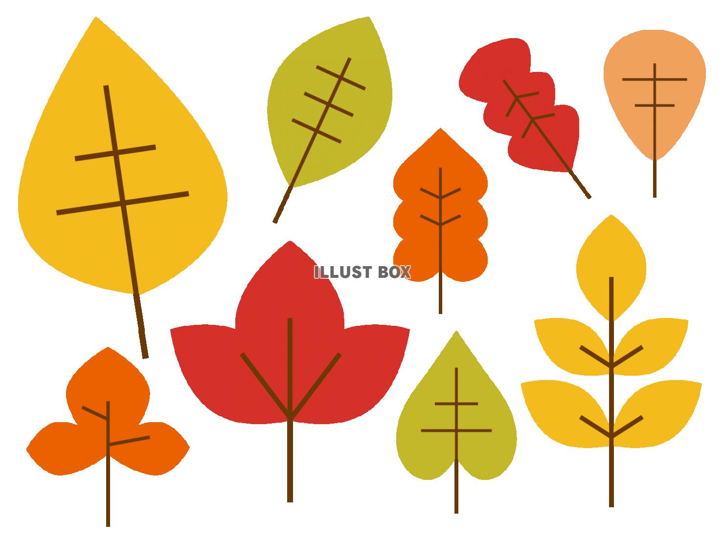 かわいい落ち葉のイラストセット