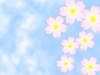 桜の花模様壁紙シンプル背景素材イラスト