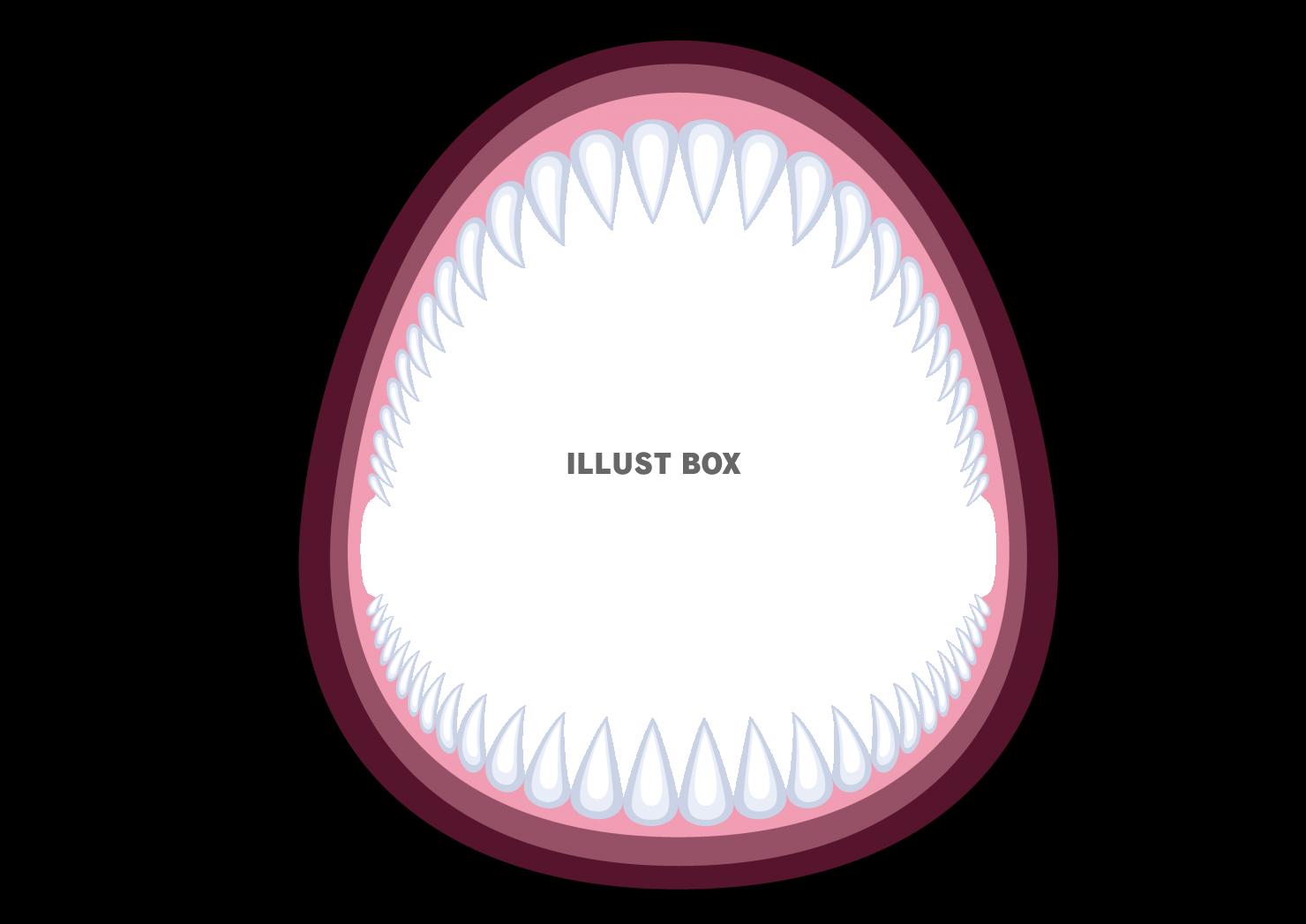 鋭い牙の並んだサメの口フレーム