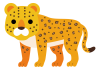 豹