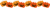 ハロウィンジャコランタンライン