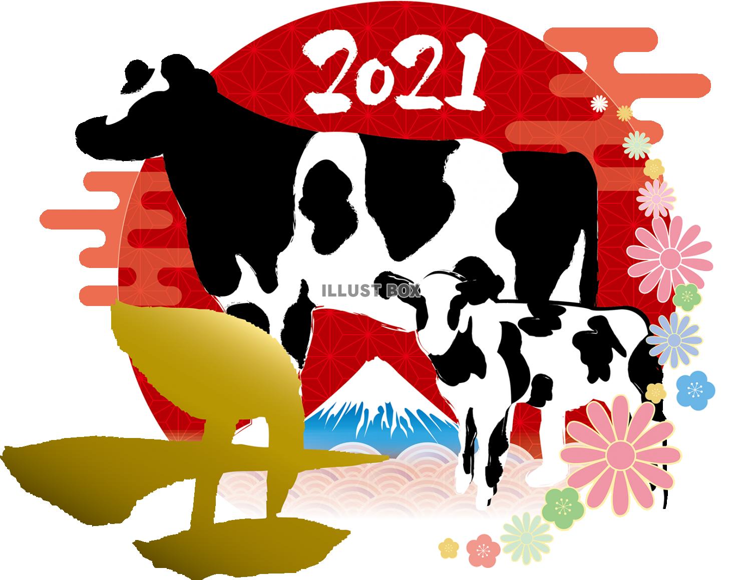 2021年丑年年賀状初日の出と牛親子ワンポイント
