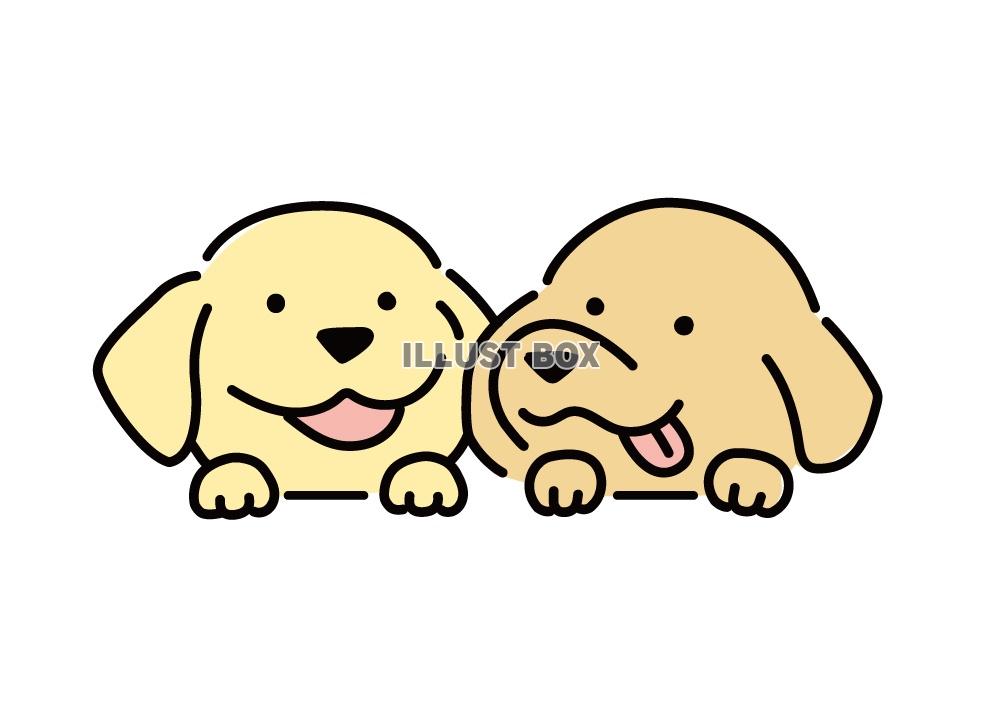 無料イラスト かわいい二匹の犬