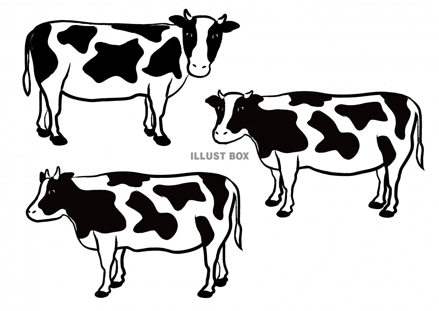 無料イラスト 筆描きの牛イラスト ホルスタイン
