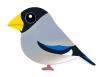 イカル（日本の野鳥）透過PNG