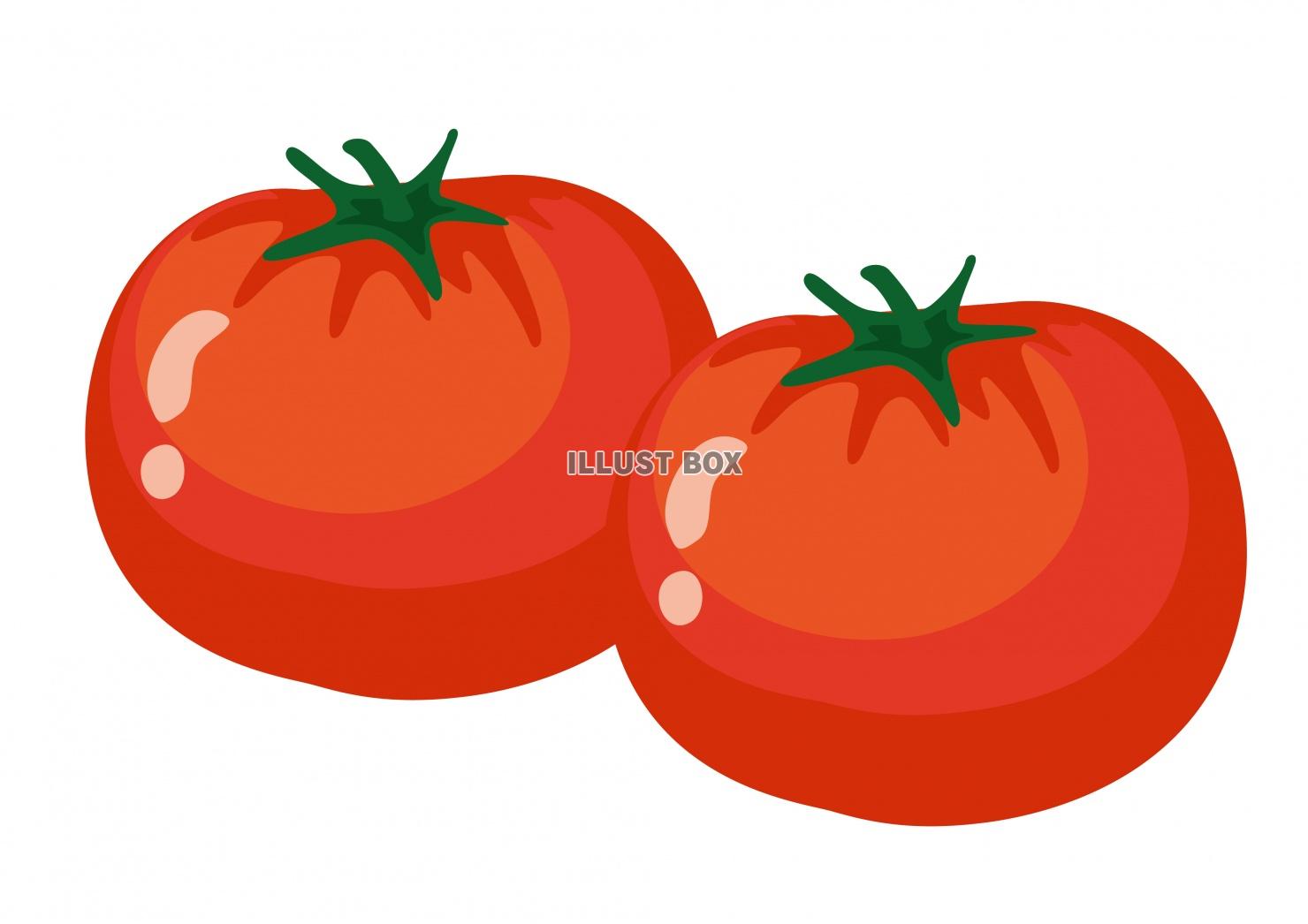 無料イラスト 野菜シリーズ トマト