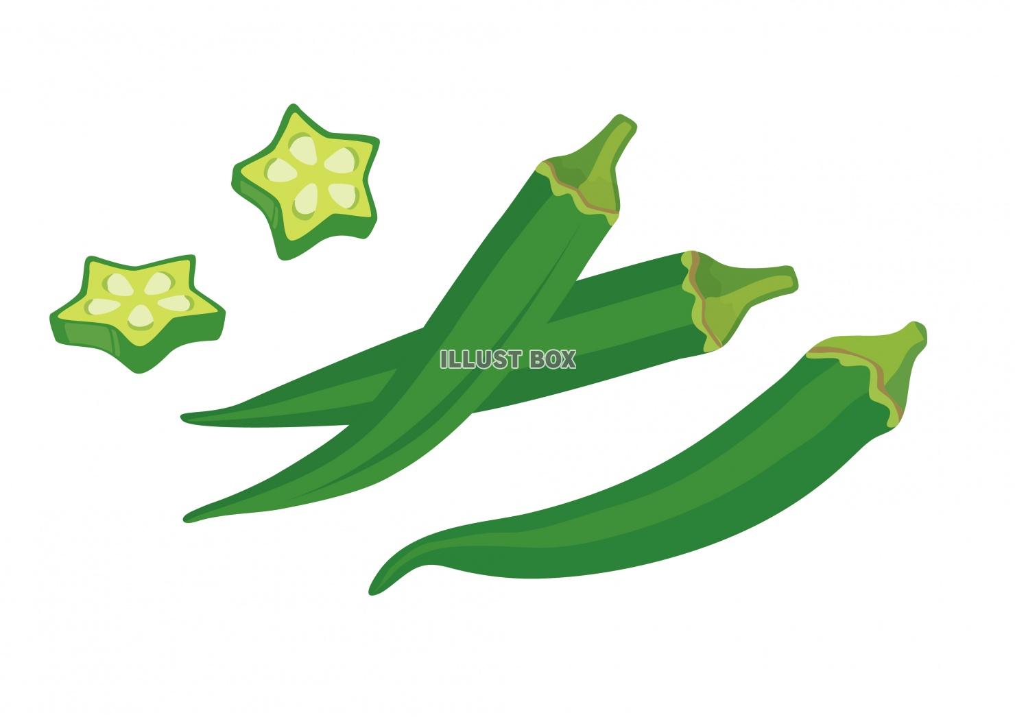 無料イラスト 野菜シリーズ オクラ