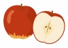 フルーツシリーズ　りんご