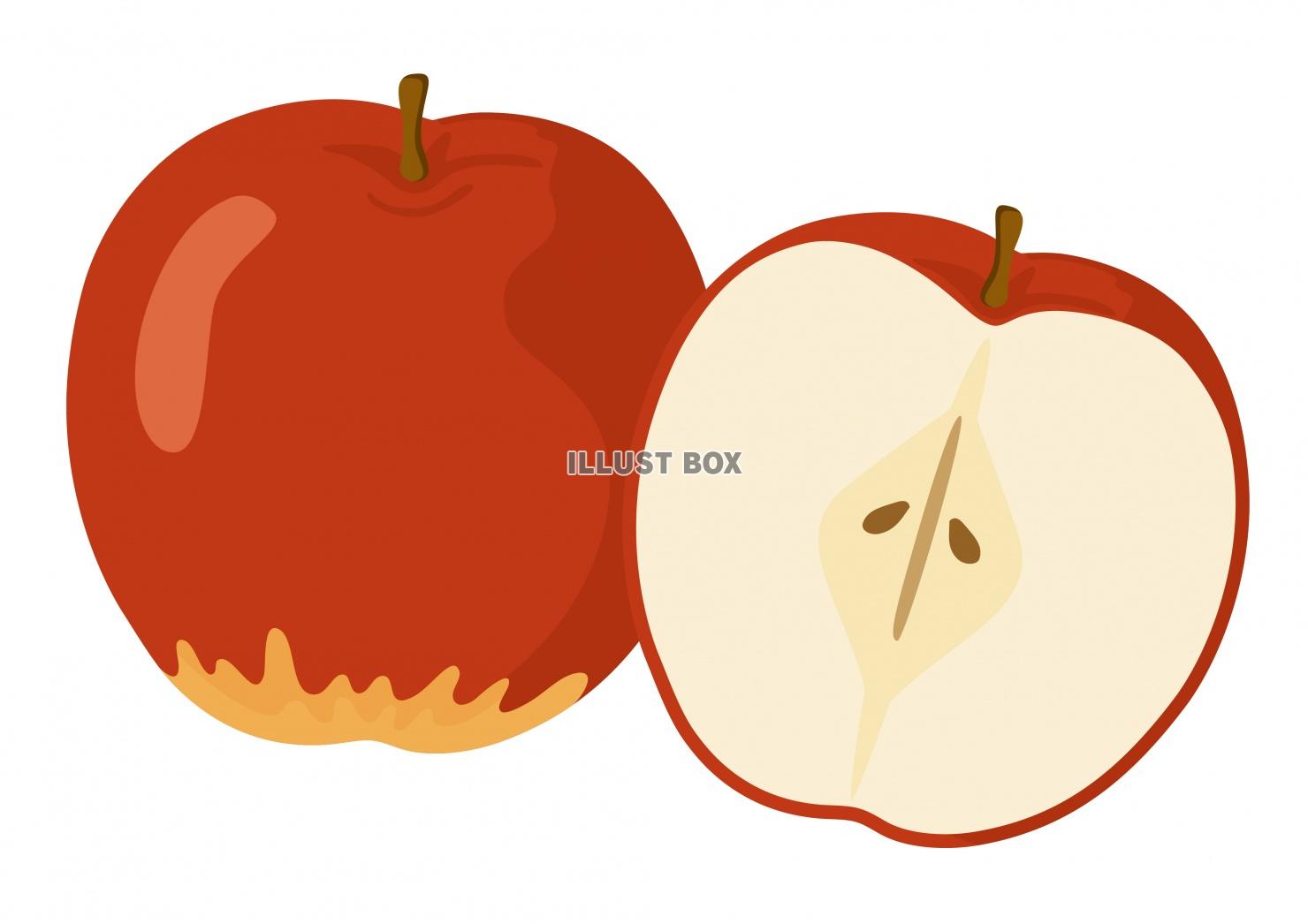 無料イラスト フルーツシリーズ りんご