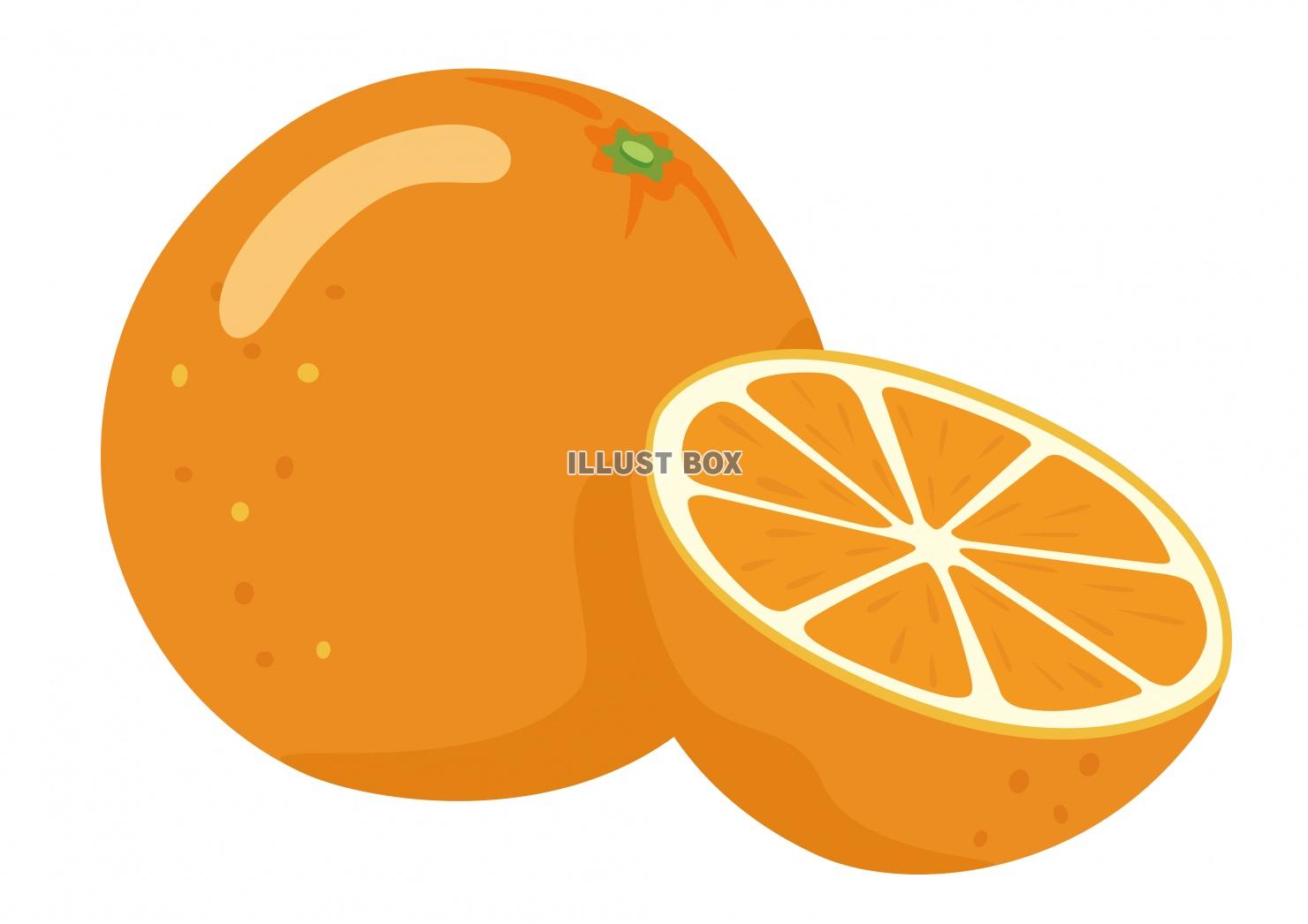 フルーツシリーズ　オレンジ