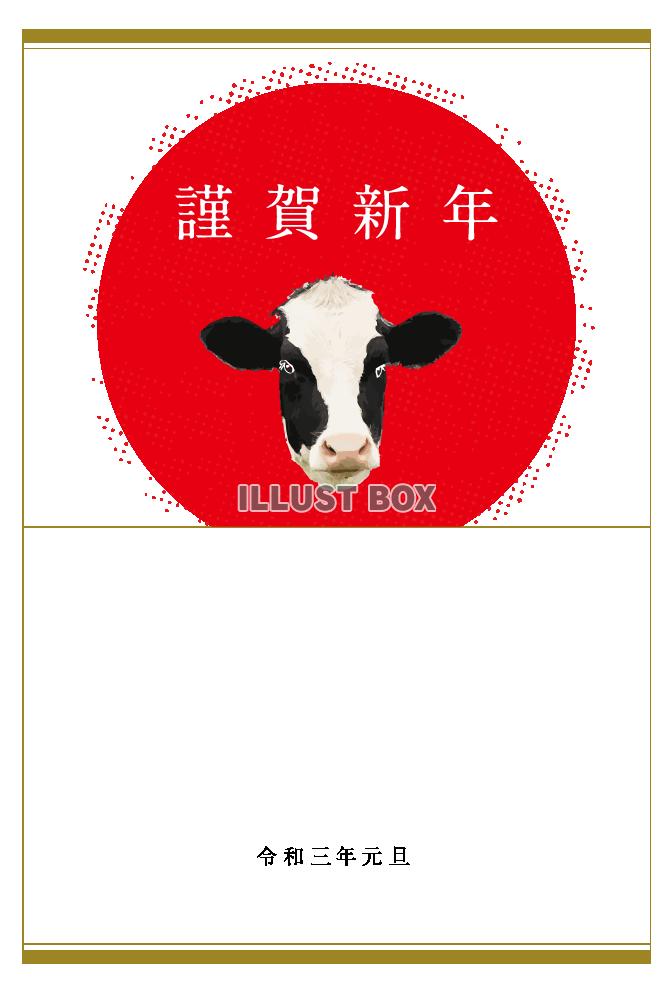 2021　丑年　年賀状デザイン