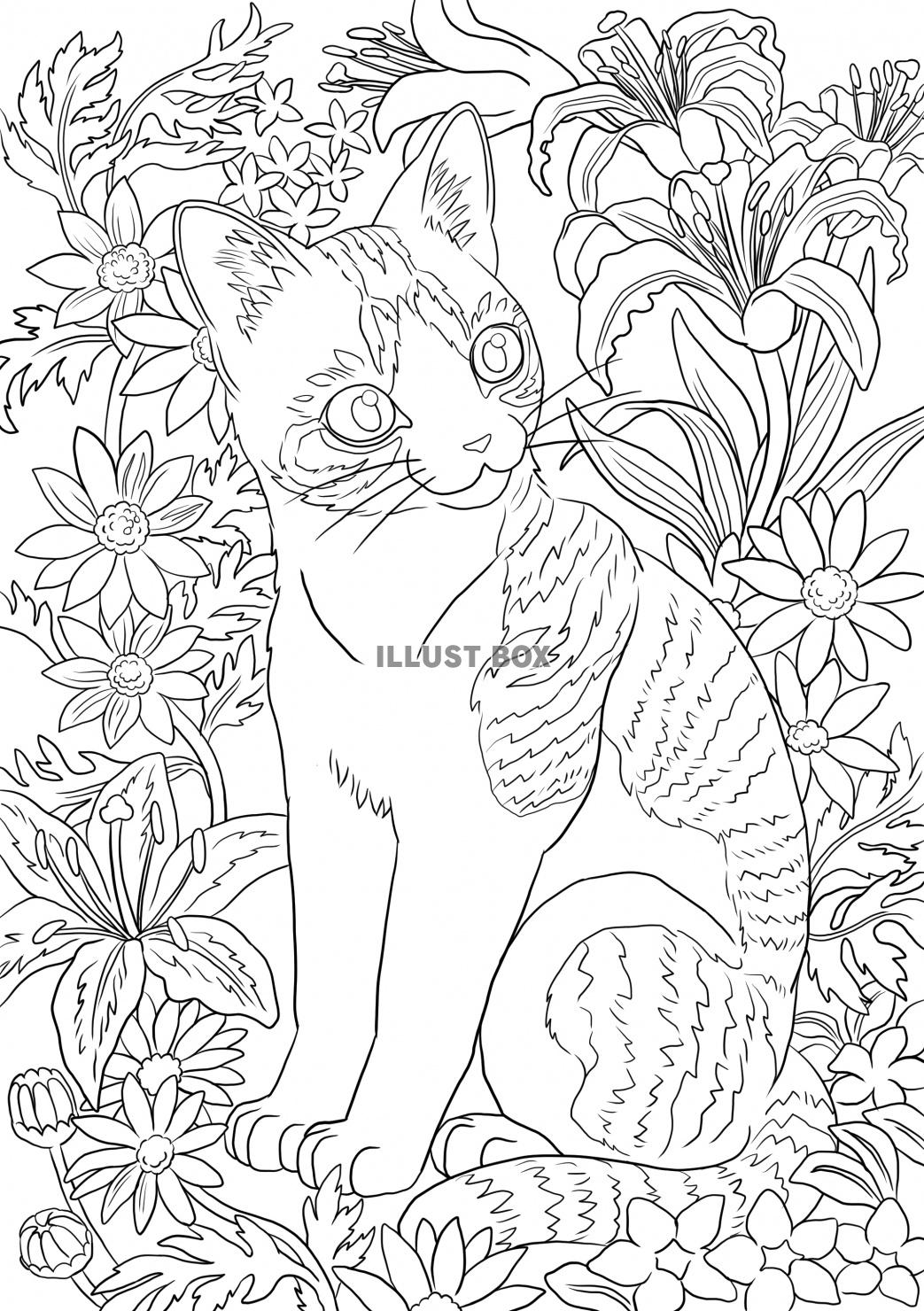 無料イラスト 花に囲まれてお座りしている猫の塗り絵