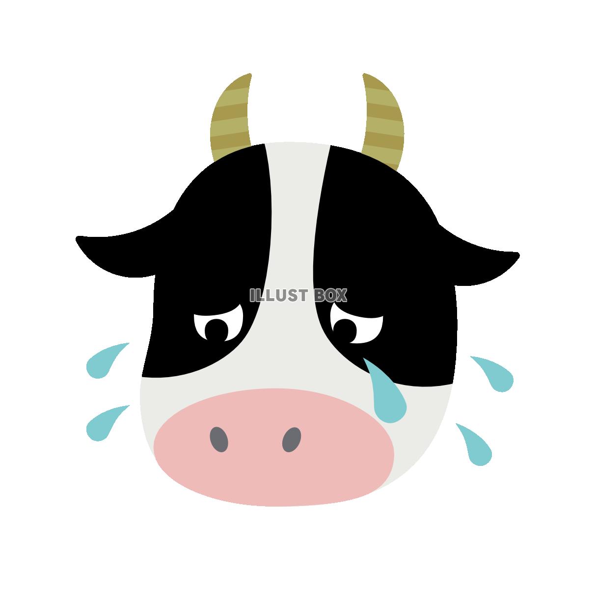 泣いてる牛さん