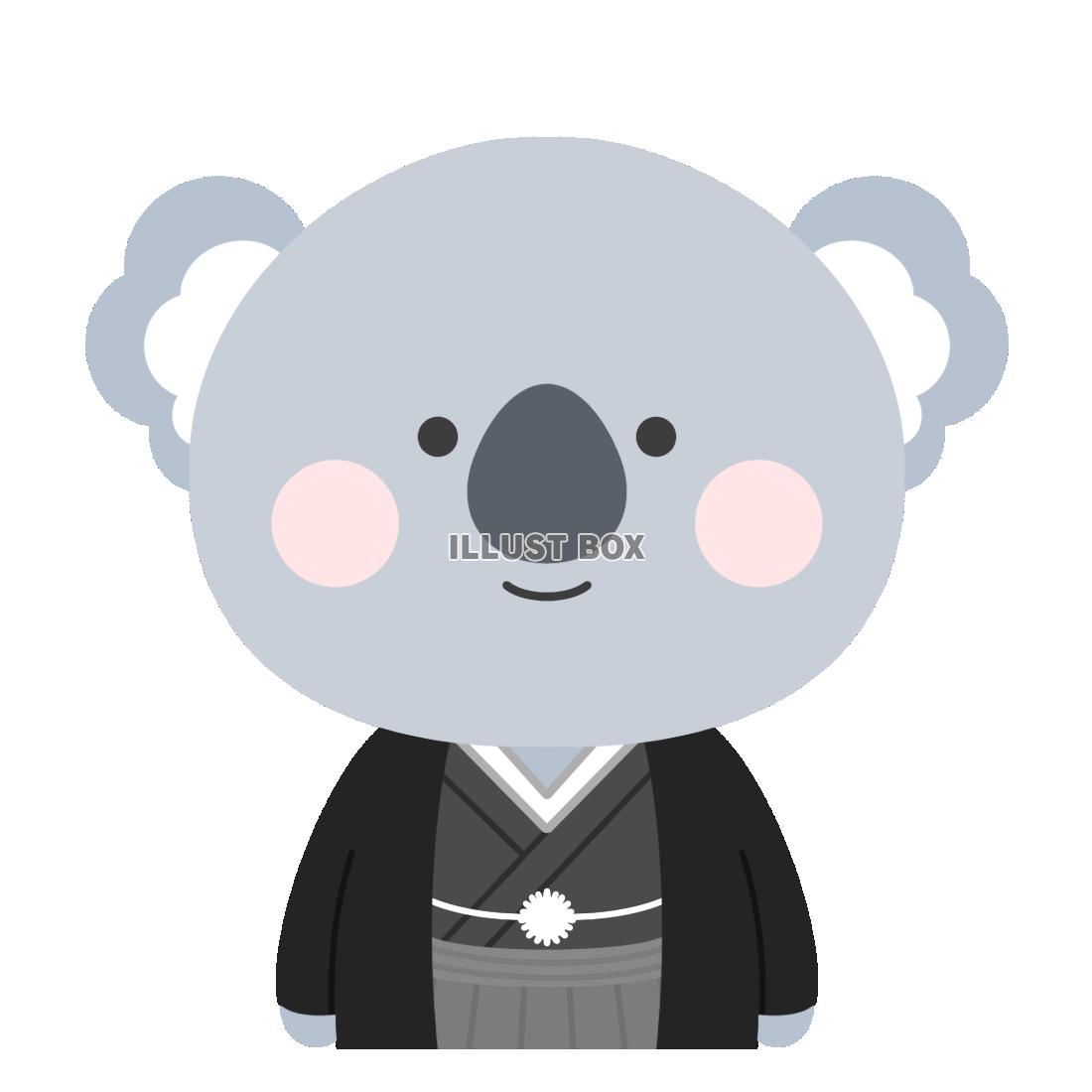 袴を着たコアラ