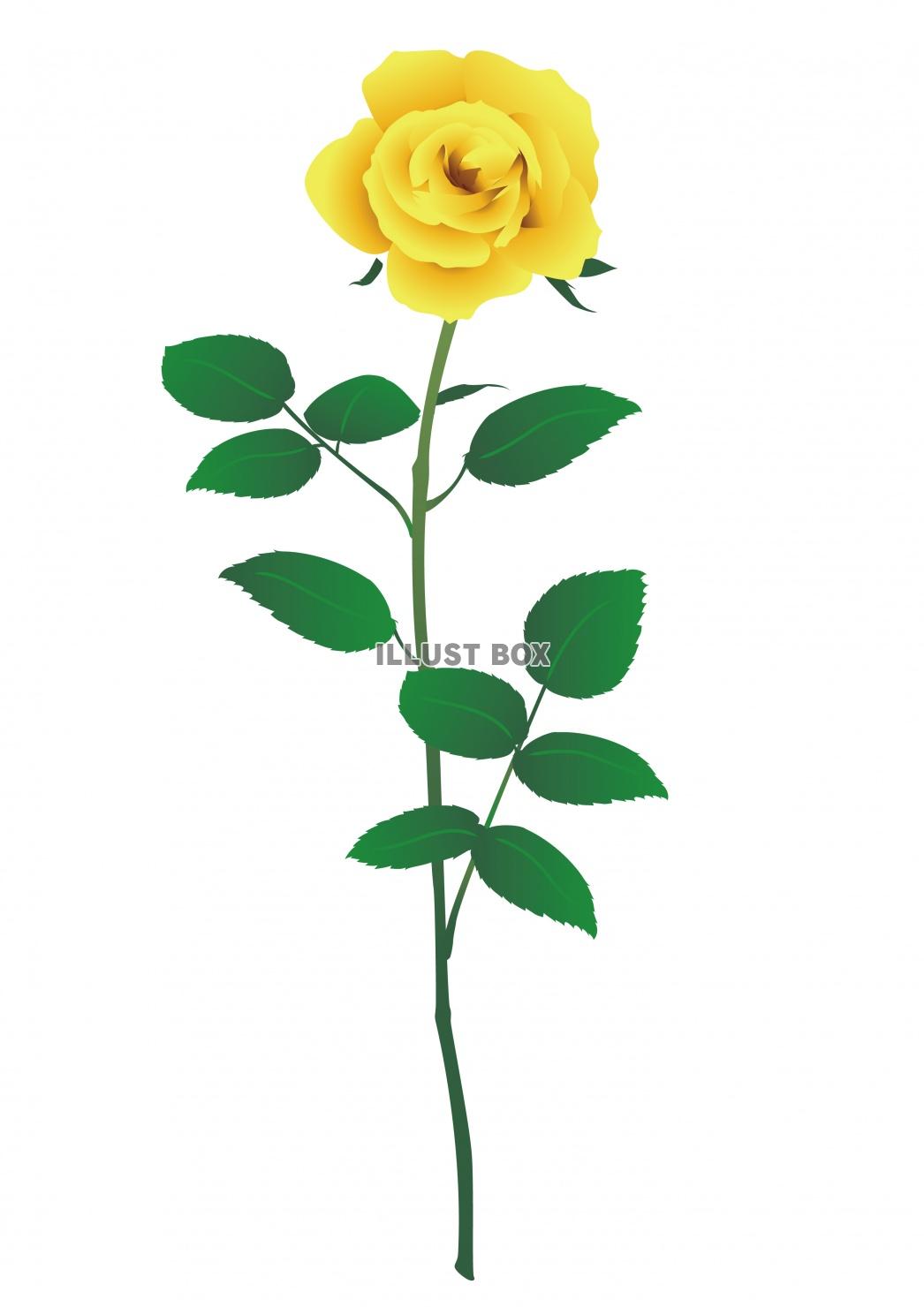 無料イラスト 一輪の黄色いバラの花イラスト