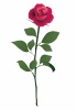 一輪の濃いピンクのバラの花イラスト