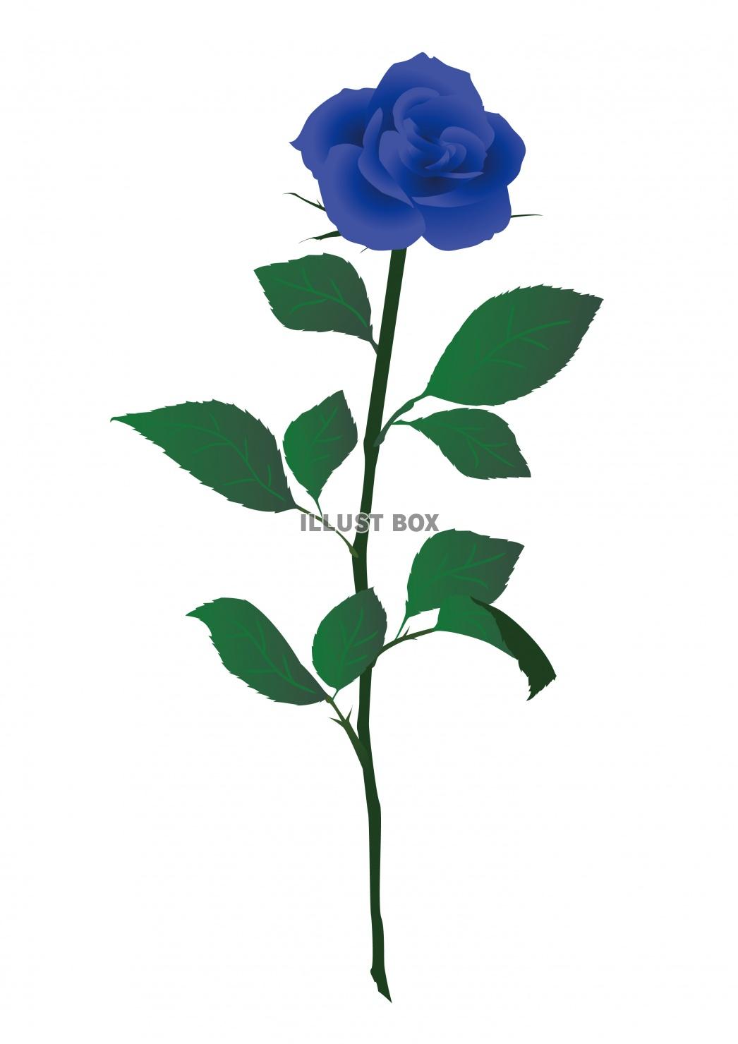 無料イラスト 一輪の青いバラの花イラスト