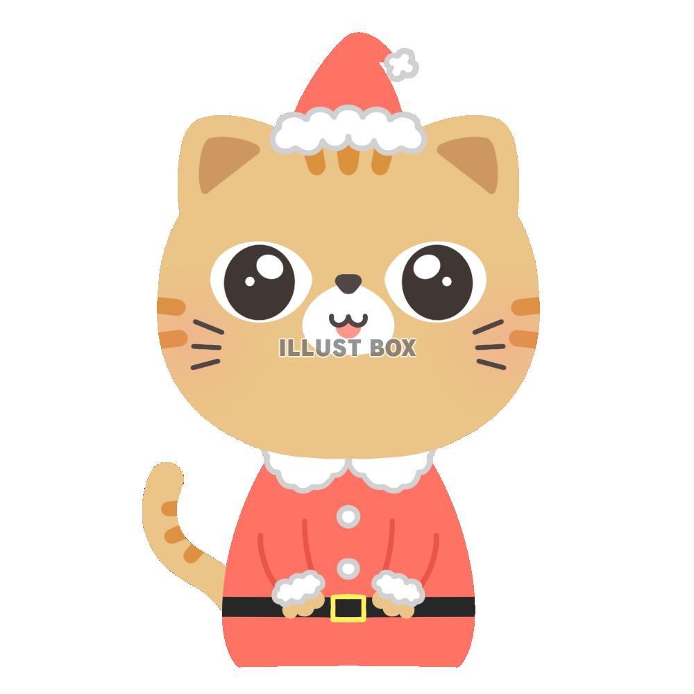 茶トラ猫・サンタクロース