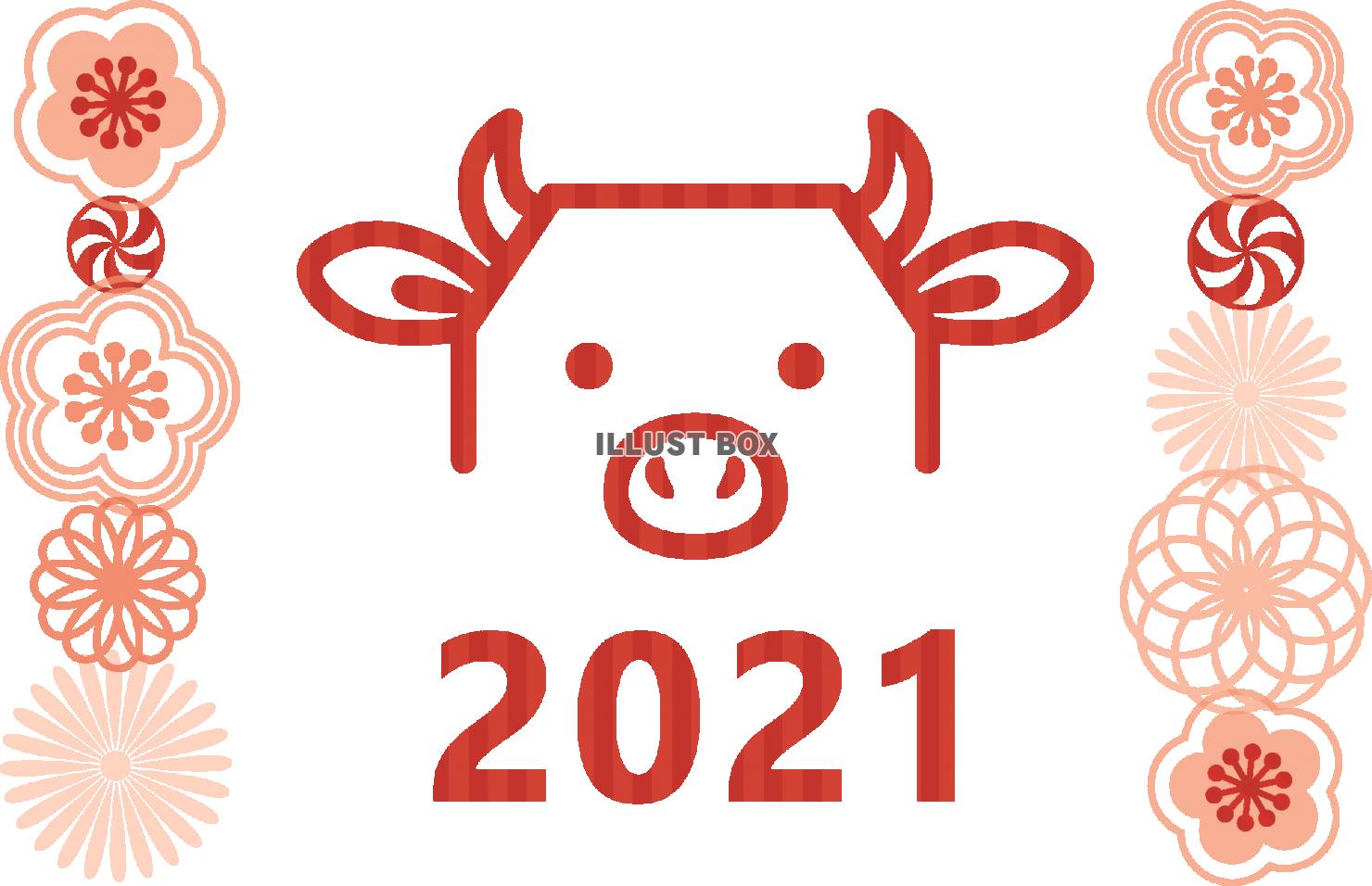 2021丑年の年賀状用　花と牛