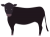 黒くてかわいい牛