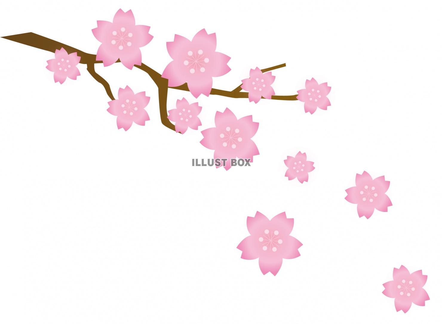 無料イラスト 桜の花のイラスト