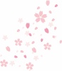 桜の花びらのイラスト