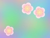 梅の花壁紙グラデーション背景素材イラスト