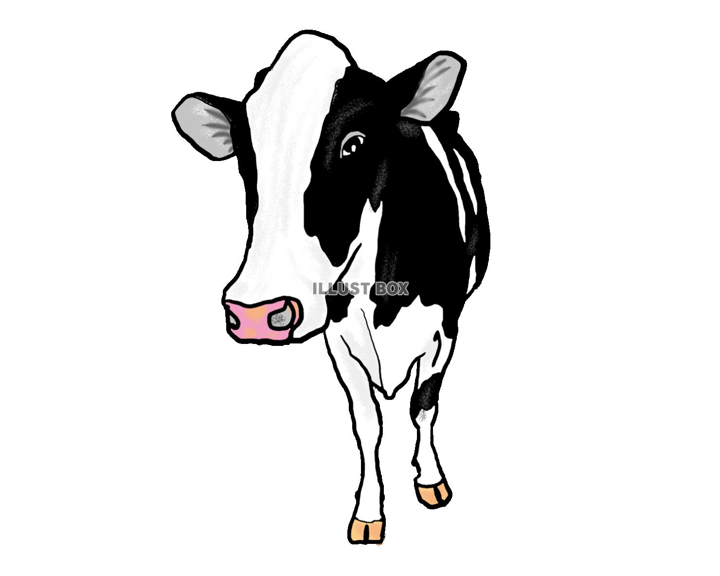 無料イラスト 牛のイラスト ホルスタイン 透過素材
