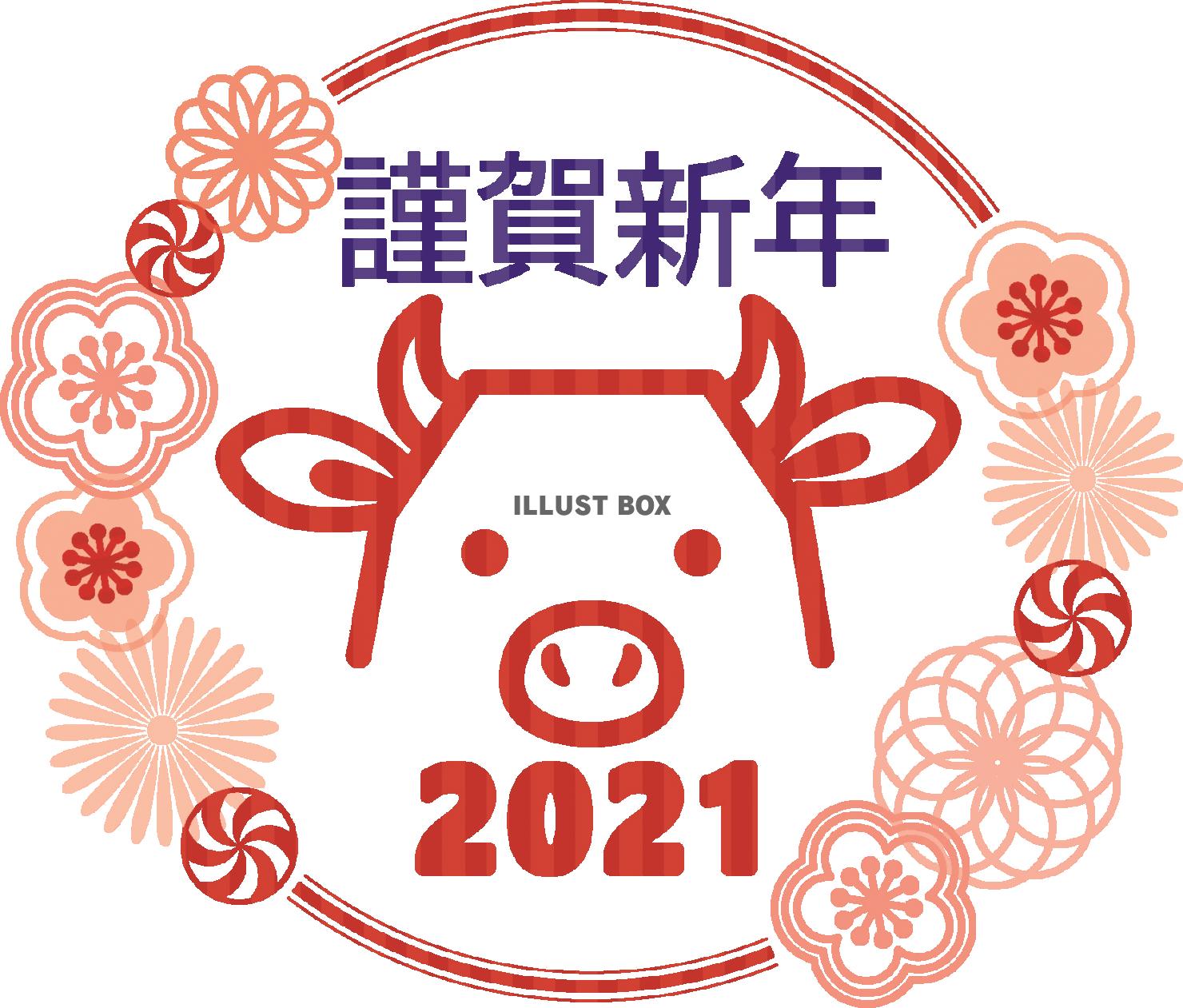 2021丑年の年賀状用　花と牛4