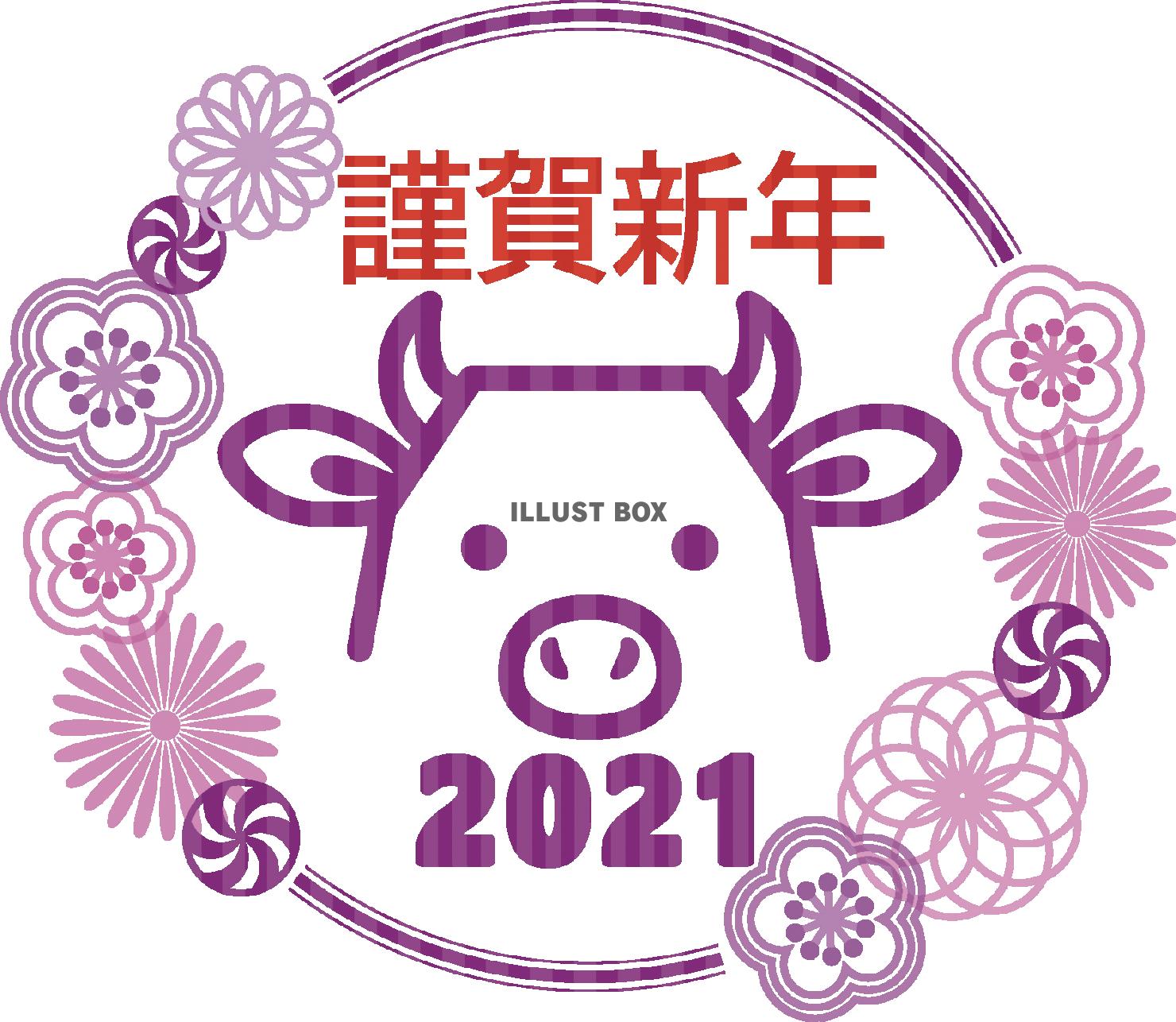 2021丑年の年賀状用　花と牛5