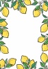 Lemon★レモンのフレーム