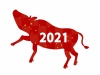 牛2021赤