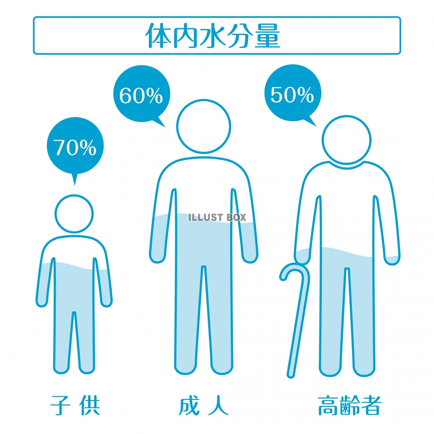 代謝 イラスト無料