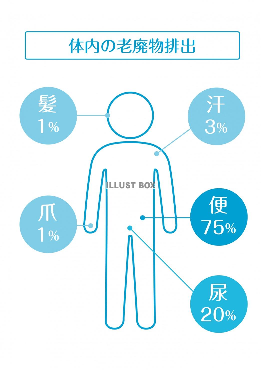 人間の身体★体内の老廃物排出デトックス★ピクトグラム