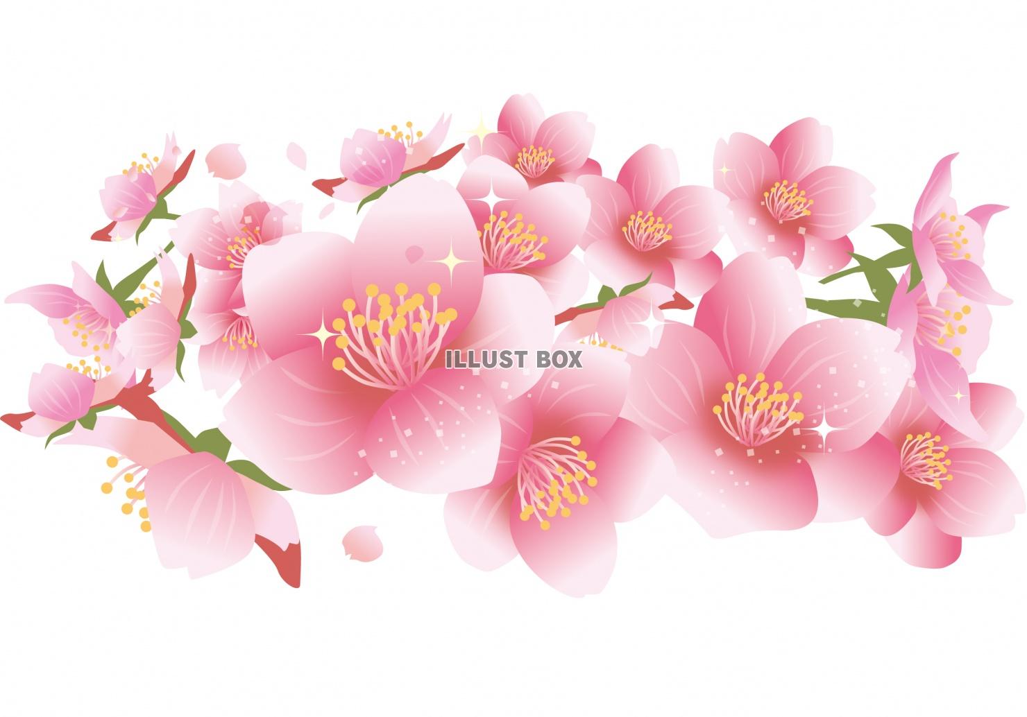 無料イラスト 桜の花のイラスト