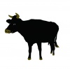 牛のイラスト（透過png素材）